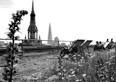 Square Mile | Ted Kinsey Photographer