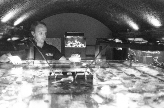 Richard, Charterhouse Aquatics, Stean Street, Haggerston E8