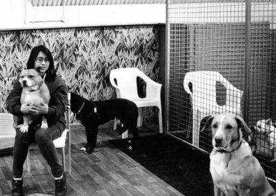 Phoebe and dogs, Dog Villas, Bohemia Place, Hackney E8