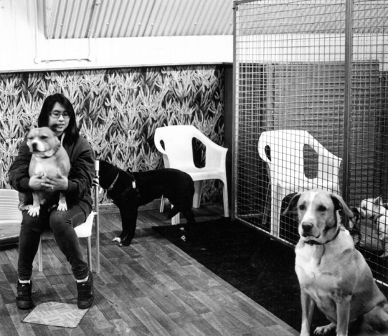 Phoebe and dogs, Dog Villas, Bohemia Place, Hackney E8
