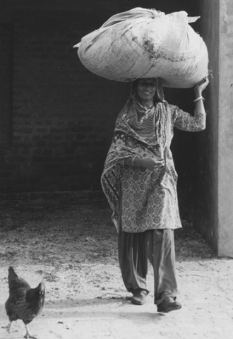 Farm lady, Chakmuglani