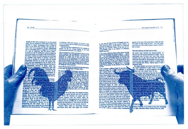 English Idioms: it's a Cock and Bull story (Cyanotype photocomposite)