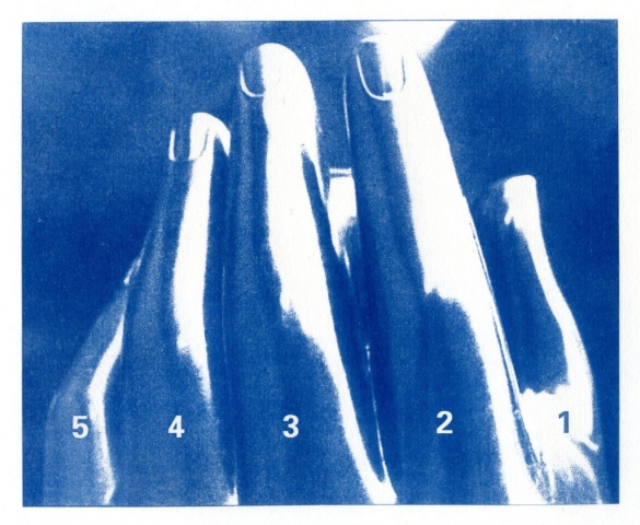 English Idioms: ...count on the Fingers of one Hand (Cyanotype photocomposite)